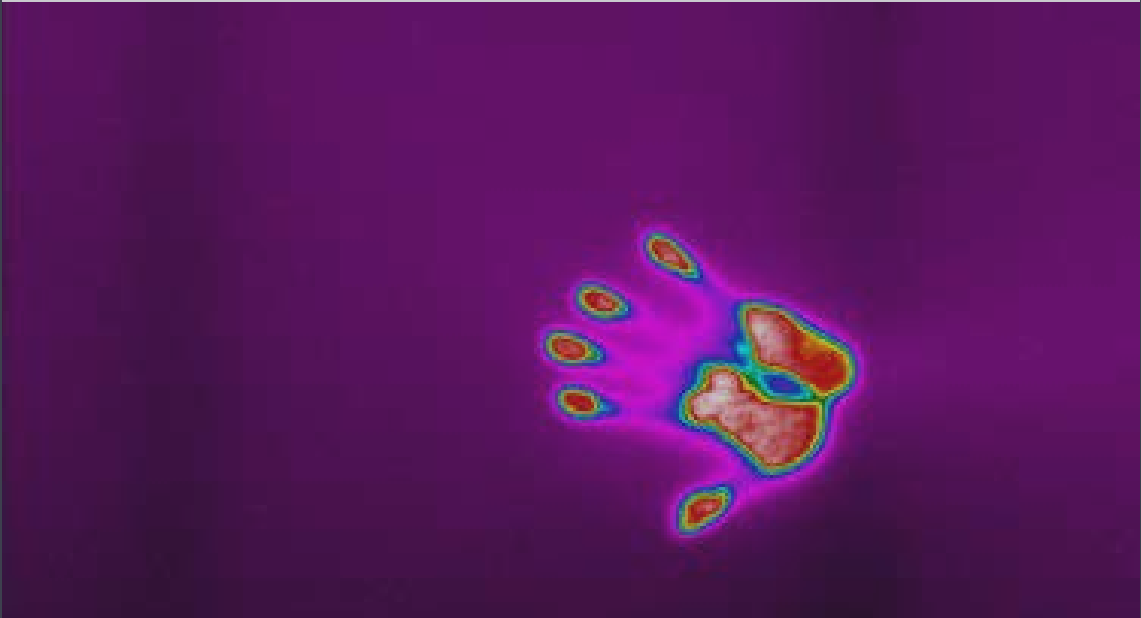 Cooled thermal imager