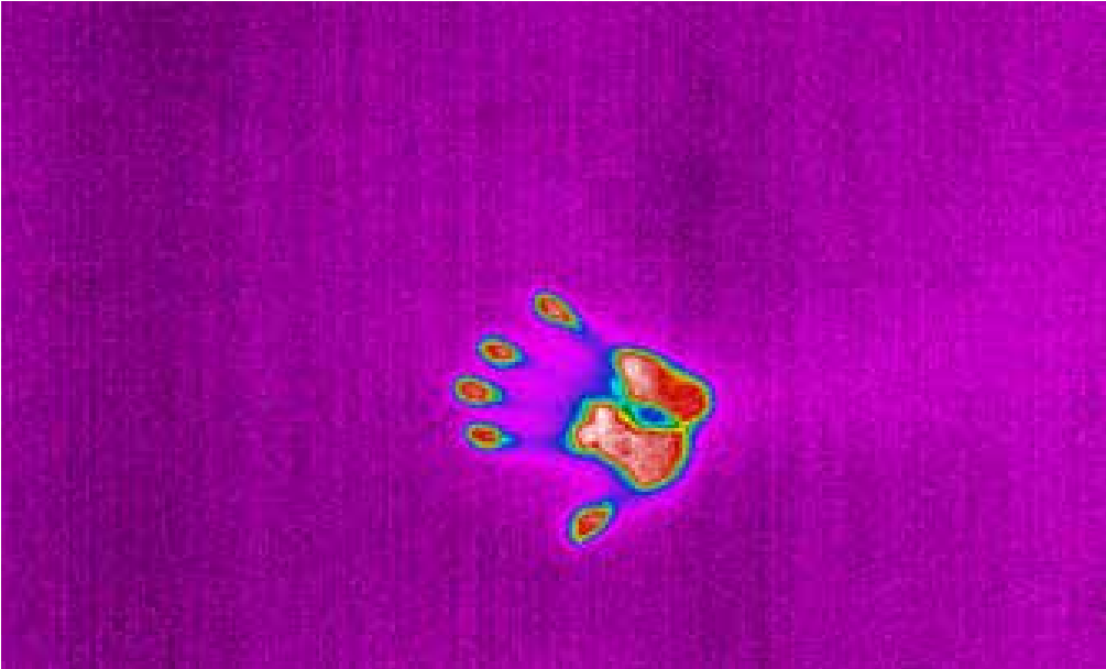 Uncooled Thermal Imager 