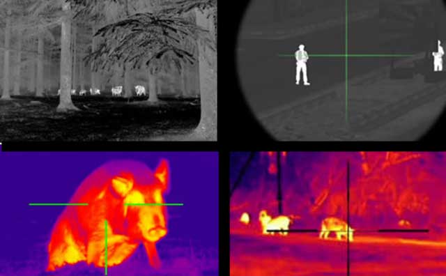 Thermal or Night Vision scope