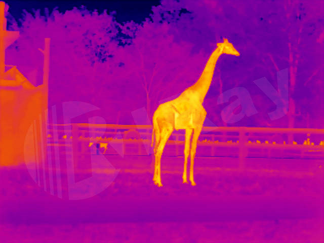 low-light night vision device，night vision